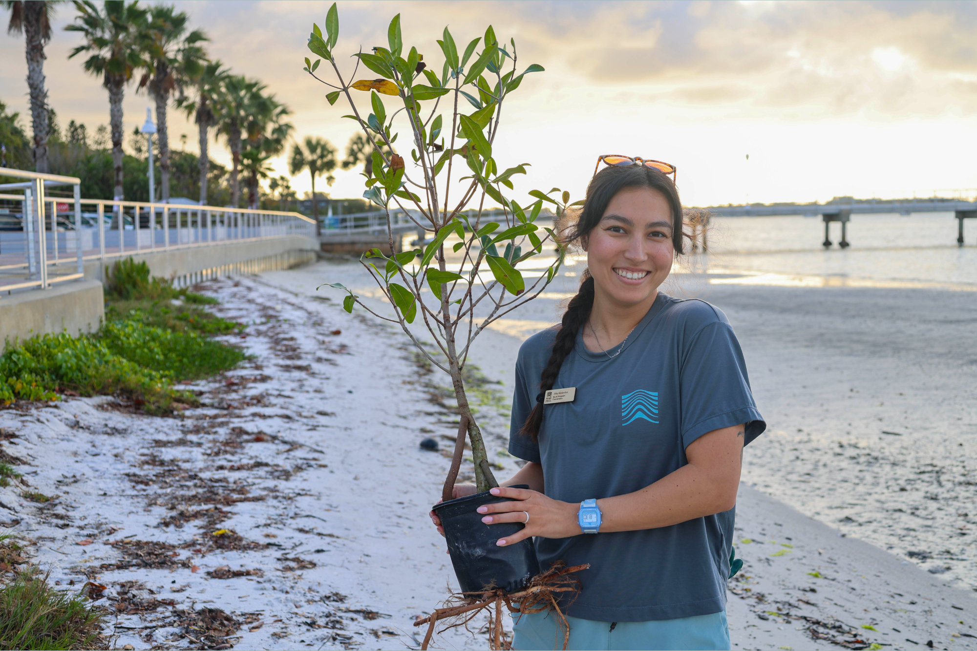 MAR team member holding a native tree at the restoration site