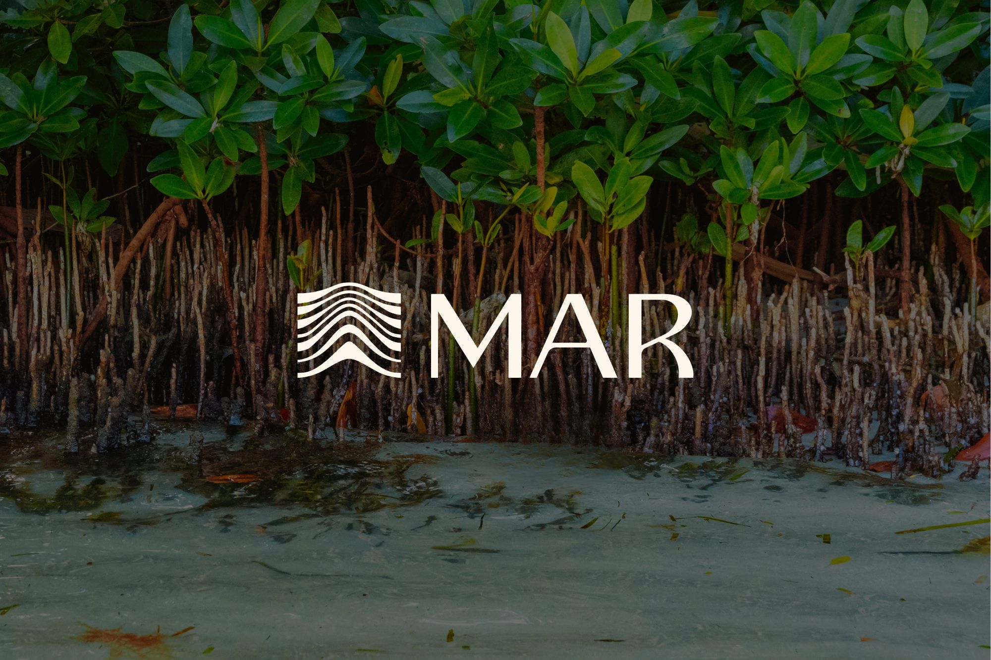 Mindful Action for Regeneration