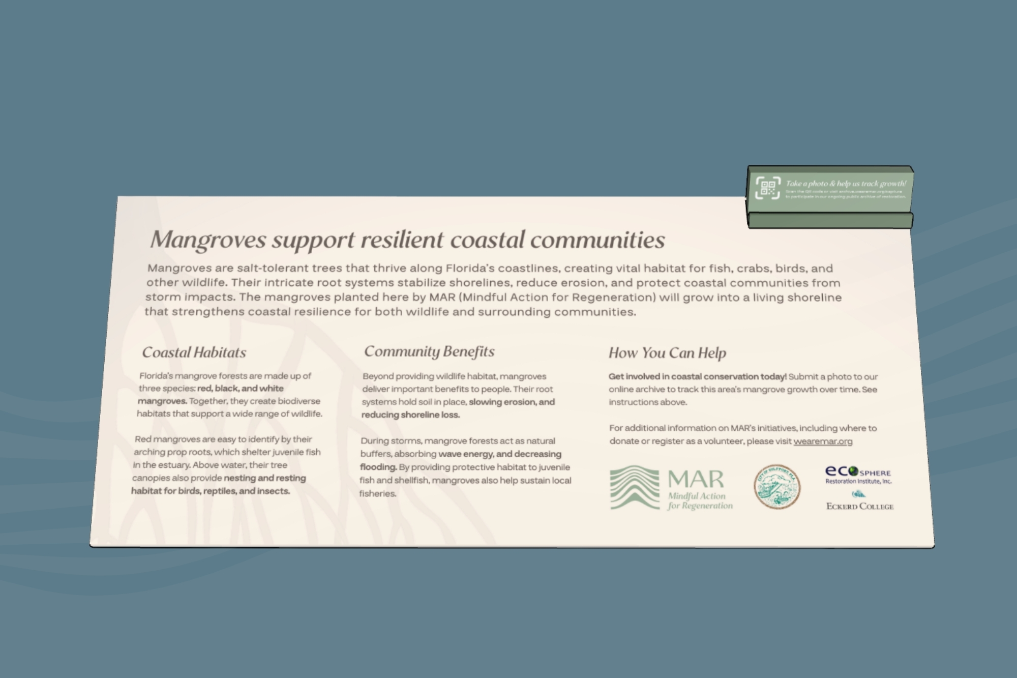 Interpretive mangrove restoration sign for the MAR Gulfport site