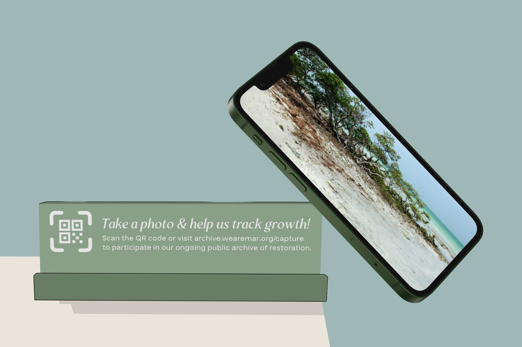 QR code phone stand inviting visitors to help track mangrove growth