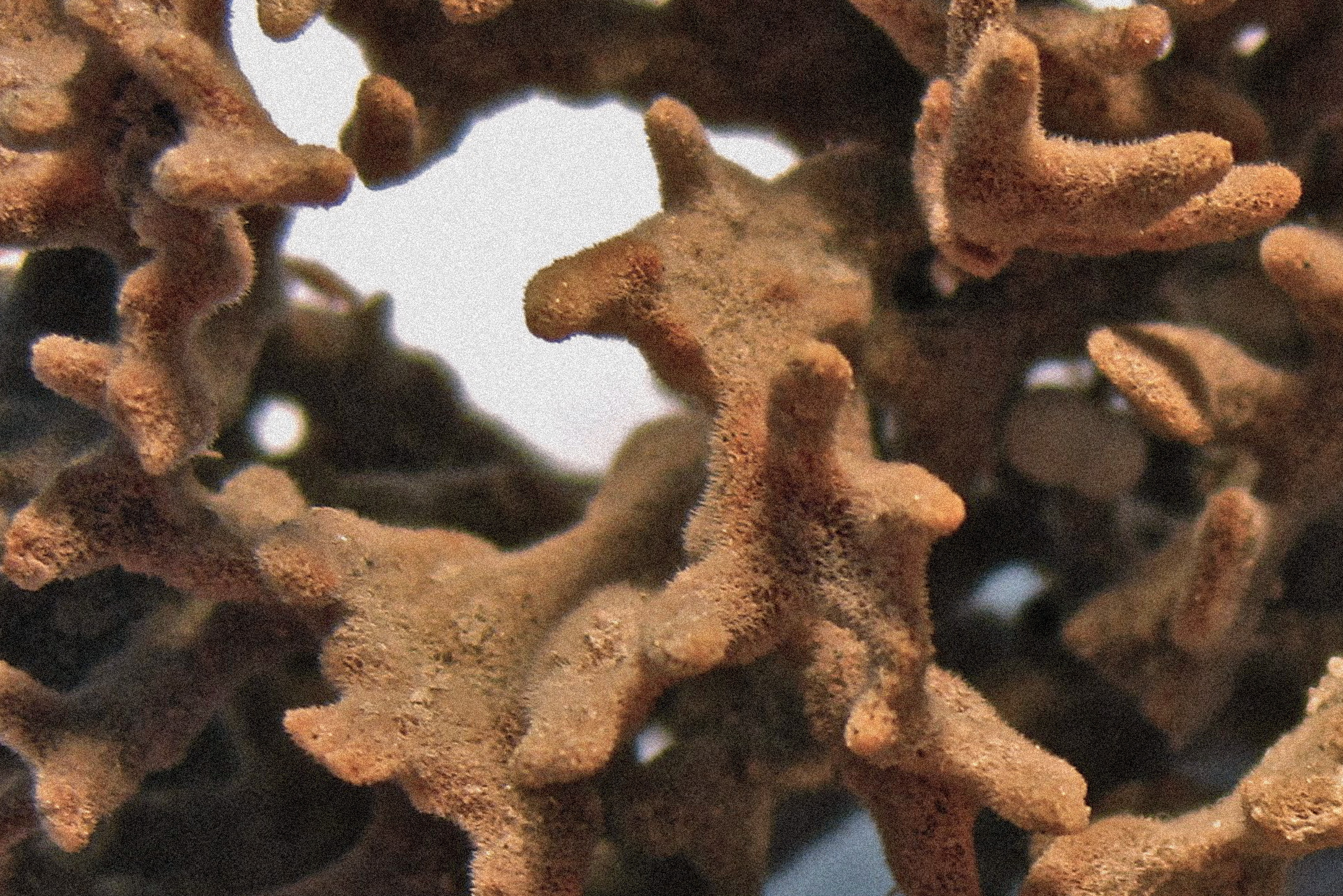 Material samples